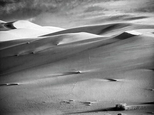 Wall Art featuring the photograph Climate Change At  Eureka  Dunes by Joe Schofield
