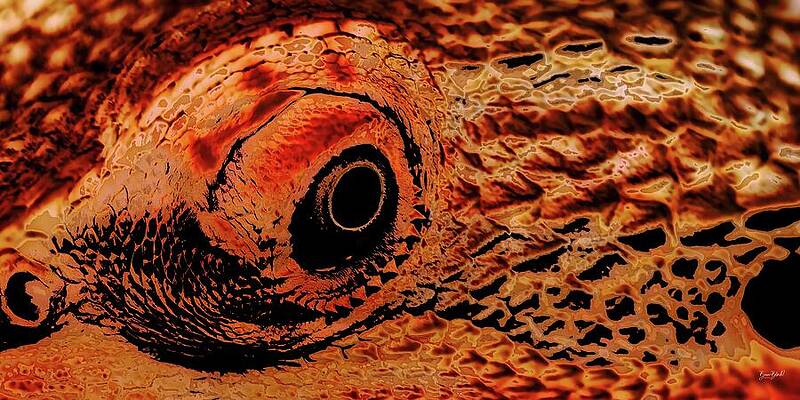 Close-Up of a Reptilian Eye Digital Art
