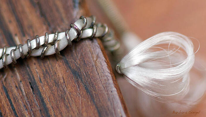 Music Wall Art featuring the photograph Twisted String by Barbara Siegel