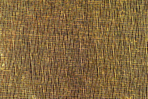 Photograph - Closeup Of Golden Organza Macro Mesh Texture by Severija Kirilovaite