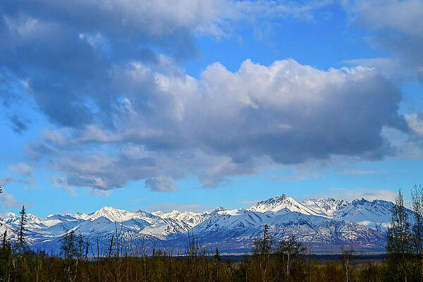 Landscape Wall Art featuring the photograph Cloud Shadows by Harry Banks
