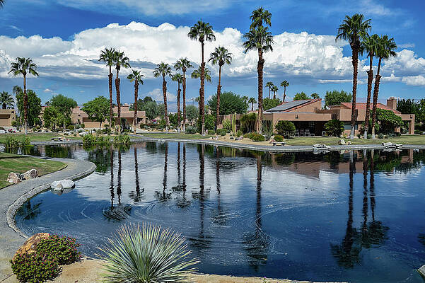 Tree Photograph - Clouds And Palm Trees  Reflections At Lake Vista Villas by Bonnie Colgan