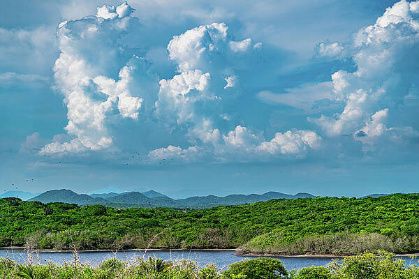 Nature Wall Art featuring the photograph Clouds Over Jungle Mazatlan Mexico by Tommy Farnsworth