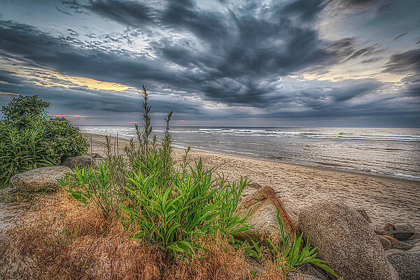 Wall Art featuring the photograph Cloudy Sunrise by Penny Polakoff