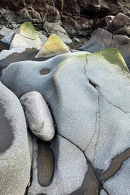 Abstract Photograph - Coastal Abstract by Jean Noren