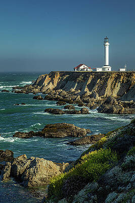 California Wall Art featuring the photograph Coastal Cliffhanger by Tim Lyden