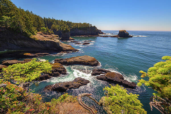 Wall Art featuring the photograph Coastal Cliffs And Rocky Shoreline At Cape Flattery, Washington State by Miroslav Liska