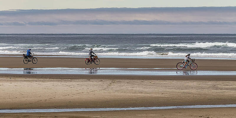 Oregon Photograph - Coastal Cruisers by Tim Lyden