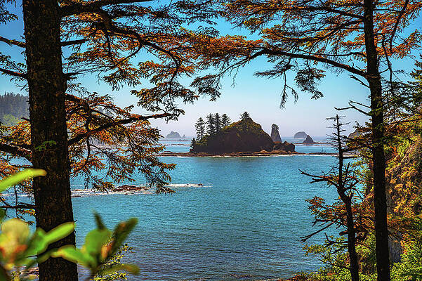 Wall Art featuring the photograph Coastal View Of La Push Third Beach With Sea Stacks In Washington State by Miroslav Liska