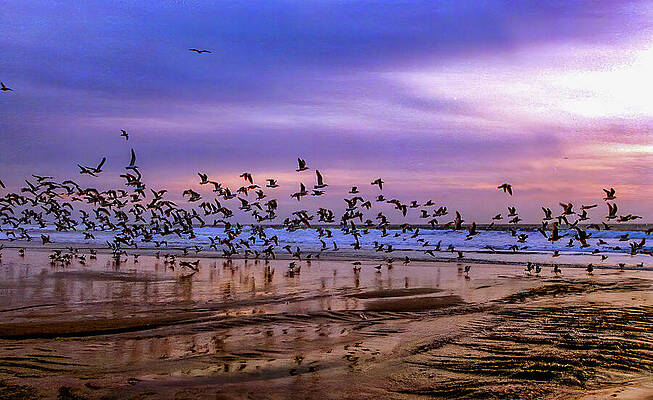 California Wall Art featuring the photograph Coastal Views California by Tommy Farnsworth