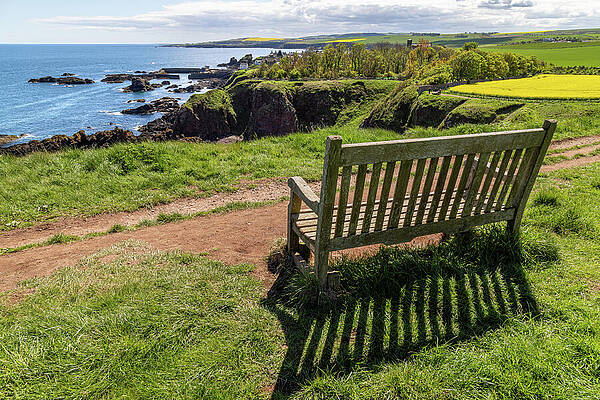 Coastal View from a Wooden Bench Wall Art