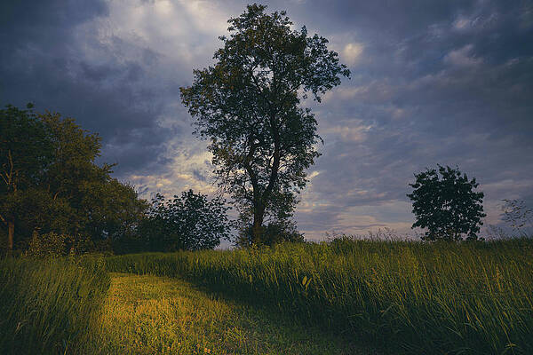 Sky Photograph - Cobalt Skies Emerald Fields by Jason Fink