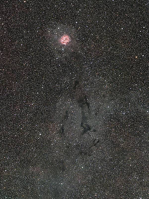 Nebula Photograph - Cocoon Nebula by Brian Weber