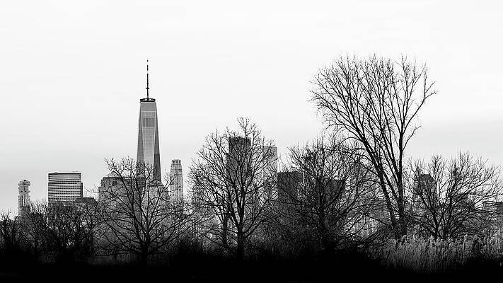 Tree Photograph - Coexist by David Fountain