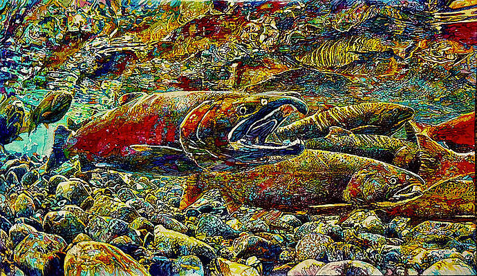 Wall Art featuring the painting Coho Spawning On The Salmon River by Grant Nixon