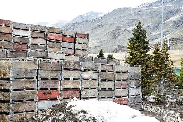 Fall Wall Art featuring the photograph Cold Apple Crates by Tom Cochran