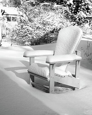 Wall Art featuring the photograph Cold Comfort by Steven Nelson