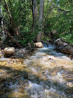 Colorado Wall Art featuring the photograph Cold Mountain Stream 1 by Amanda R Wright