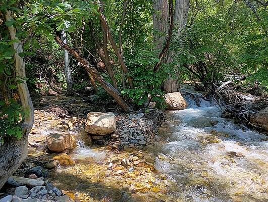 Colorado Wall Art featuring the photograph Cold Mountain Stream 2 by Amanda R Wright