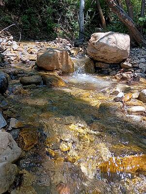 Colorado Wall Art featuring the photograph Cold Mountain Stream 4 by Amanda R Wright
