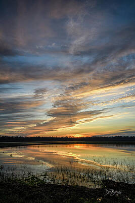 Wildlife Photograph - Cold Winter Dawn #6119 by Dan Beauvais
