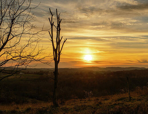 Fall Photograph - Colder Days Ahead Trexler Nature Preserve by Jason Fink