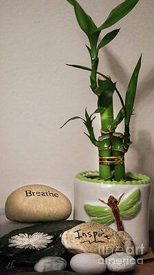 Green Photograph - Collection Of Calming Inspiring by D Lee