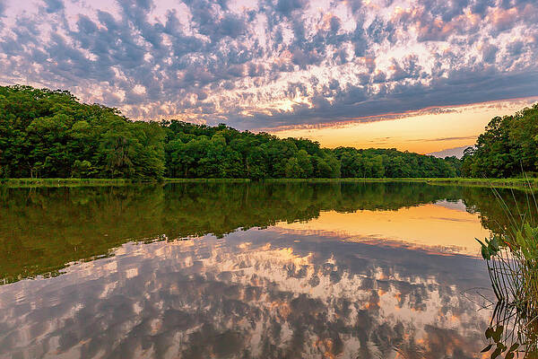 Water Photograph - College Creek Wedges by David Fountain