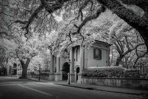 Natural Photograph - College Of Charleston-BW by Maryanne Keeling