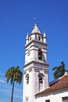 Colonial Bell Tower and Palm Trees Wall Art