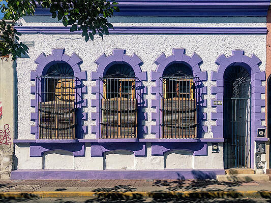 Mexico Wall Art featuring the photograph Colonial Building Facade Mazatlan Mexico by Tommy Farnsworth
