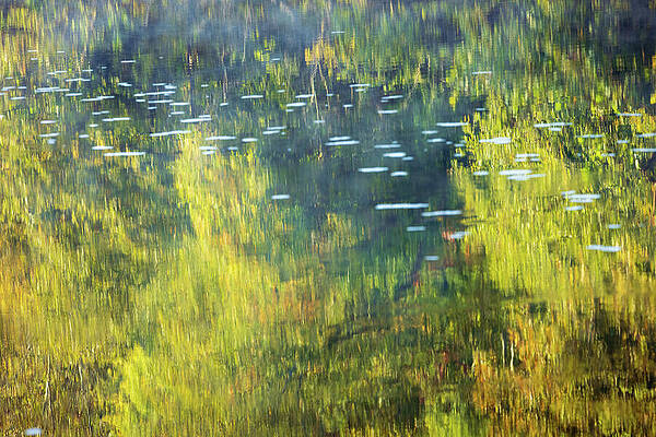 Wall Art featuring the photograph Colorado - Evergreen Lake - Reflections by Robert Niemeier