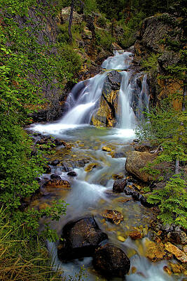 Wall Art featuring the photograph Colorado Mountain Waterfall by Bob Falcone