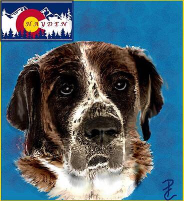 Mixed Media - Colorado's Hayden by Pamela Calhoun