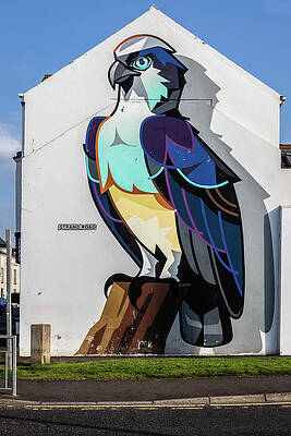 Photograph - Colorful Bird Mural On City Wall, Port Stewart, Northern Ireland by Francisco Ruiz Navas