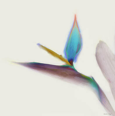 Colorful Bird of Paradise Blossom Wall Art