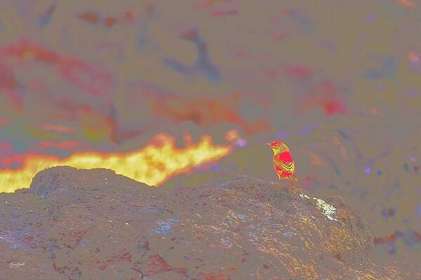 Colorful Wall Art featuring the digital art Colorful Bird On Rocky Outcrop By The Ocean by Bruce Block