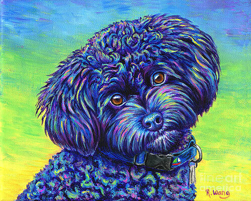 Painting - Opalescent - Black Toy Poodle by Rebecca Wang