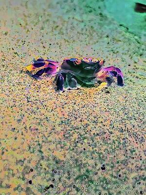 Colorful Crab on Sand Wall Art