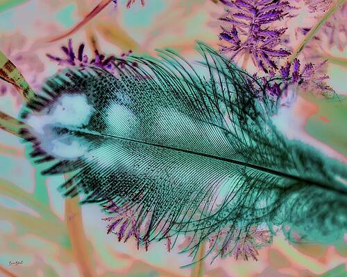 Colorful Feather and Floral Composition Wall Art
