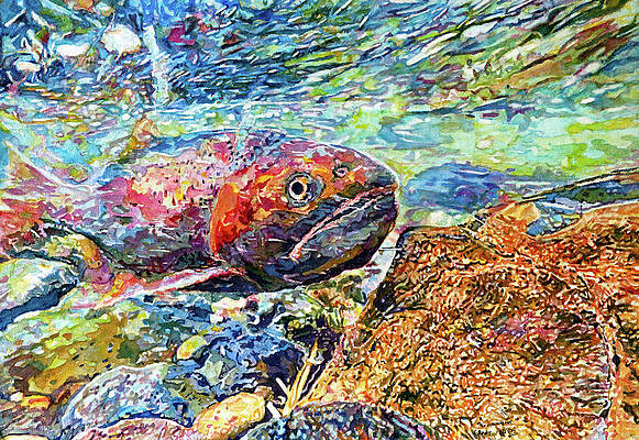 Painting - Colorful Fish by Grant Nixon