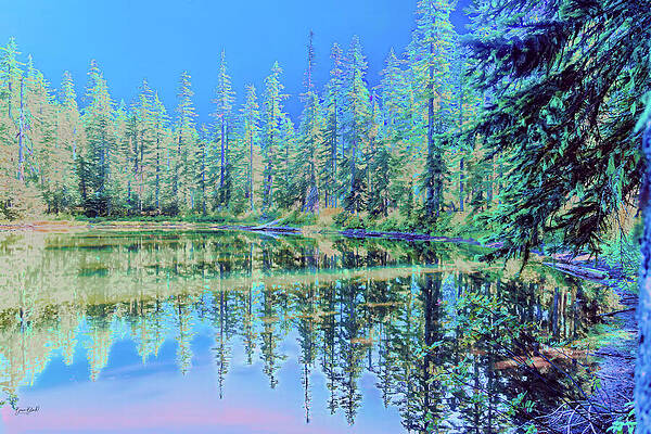 Colorful Forest Reflection in Lake Wall Art