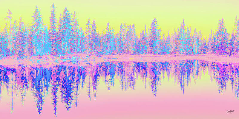 Colorful Forest Reflections Wall Art