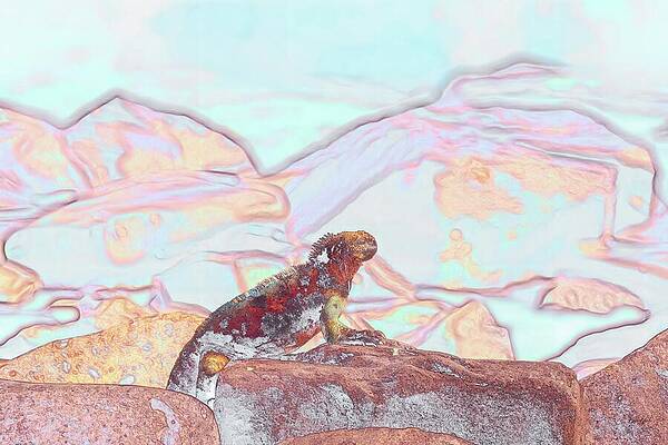 Colorful Iguana on Rocks Wall Art