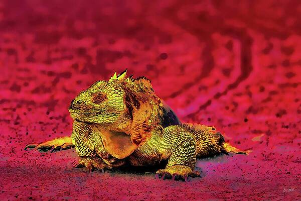 Colorful Iguana on Vibrant Background Wall Art