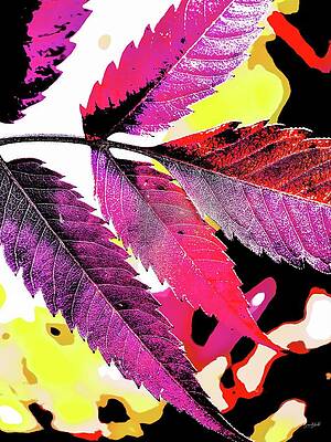 Colorful Leaf Arrangement Wall Art