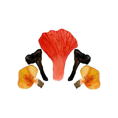 Colorful Mushroom Arrangement Painting