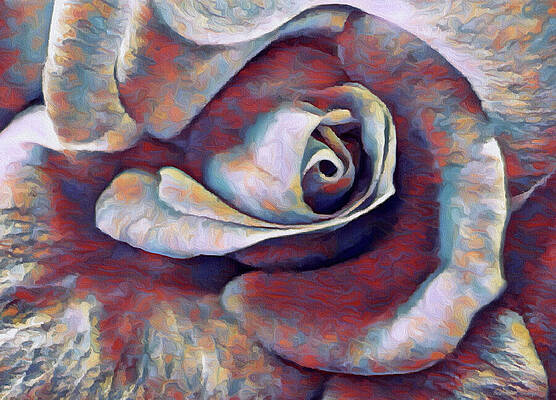 Colorful Rose Close-up Wall Art