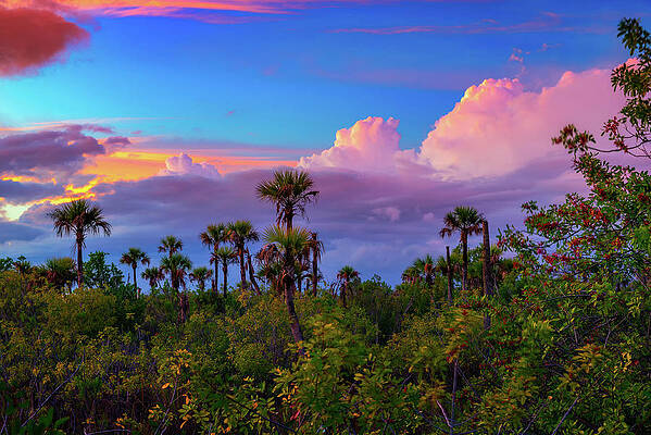 Sky Photograph - Colorful Sunset Over Everglades National Park In Florida by Miroslav Liska