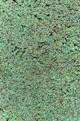 Colorful Surface Texture Wall Art